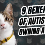 9 Benefits of Having a Pet for Autistic Adults